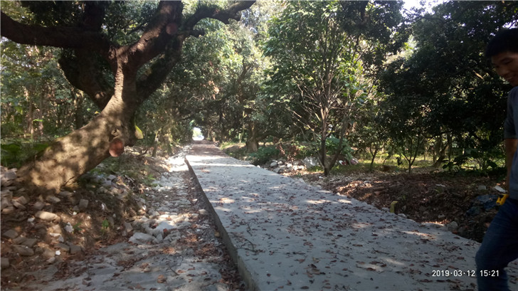 P90312-152144.jpg